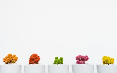 Design Science
